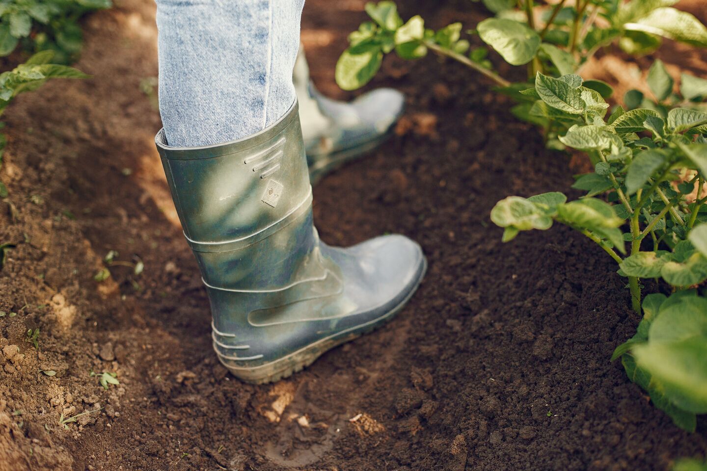 Manual garden care
