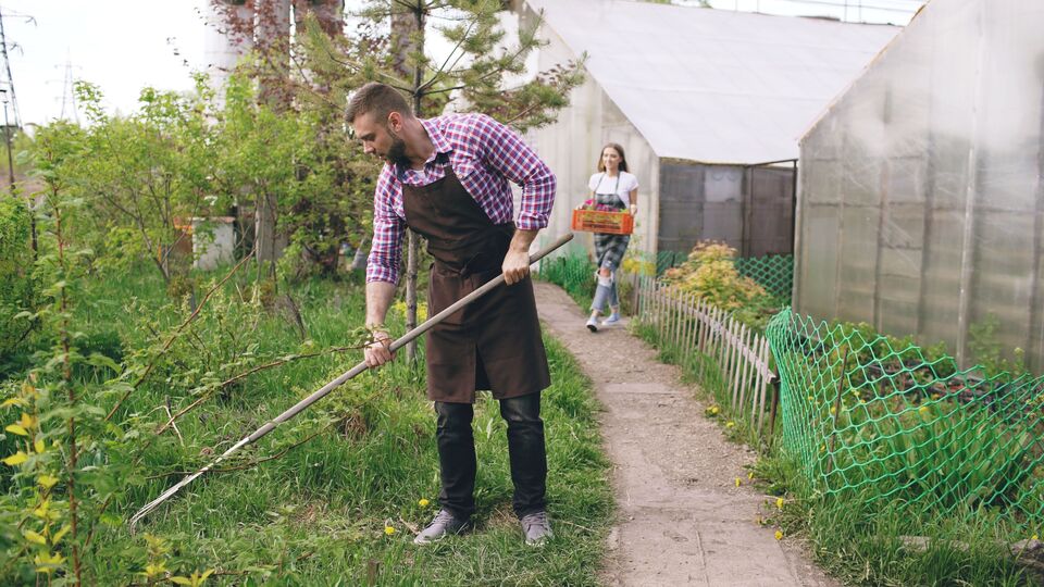 Weed removal tool for garden care